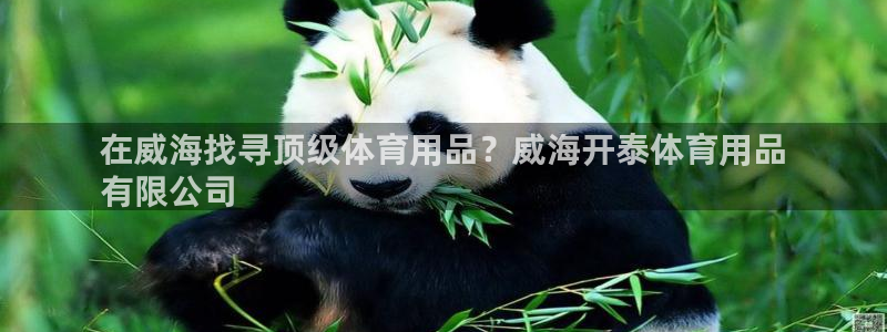欧陆娱乐挂机怎么玩的：在威海找寻顶级体育用品？威海开