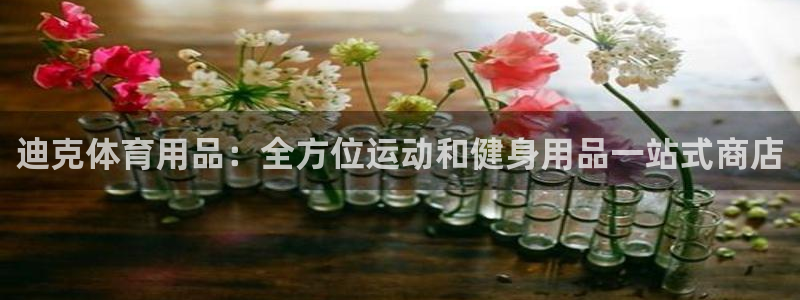 欧陆娱乐是正规吗?：迪克体育用品：全方位运动和健身用