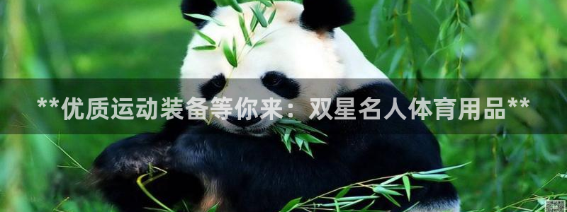欧陆娱乐登录官网网址：**优质运动装备等你来：双星名