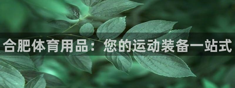 欧陆软件官网：合肥体育用品：您的运动装备一站式