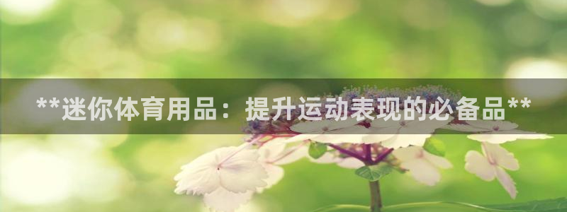 欧陆娱乐合法吗：**迷你体育用品：提升运动表现的必备