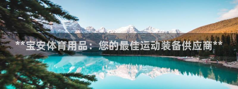 欧陆娱乐登陆平台官网：**宝安体育用品：您的最佳运动