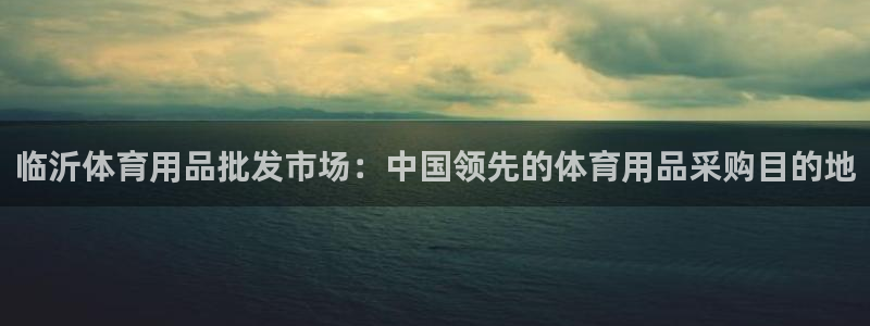 欧陆娱乐怎么注册账号登录：临沂体育用品批发市场：中国