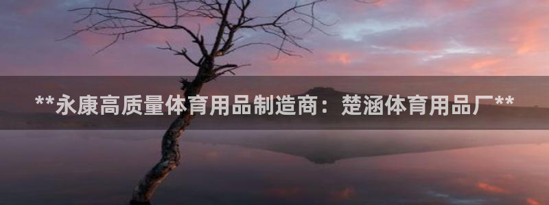欧陆娱乐打什么方案赚钱：**永康高质量体育用品制造商