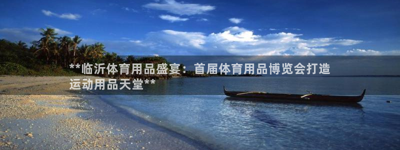 欧陆娱乐平台登陆地址是什么：**临沂体育用品盛宴：首