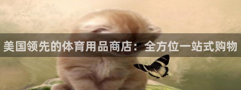 欧陆娱乐app打不开怎么回事视频：美国领先的体育用品