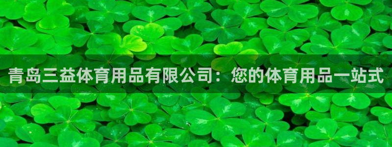欧陆娱乐欧陆主管：青岛三益体育用品有限公司：您的体育