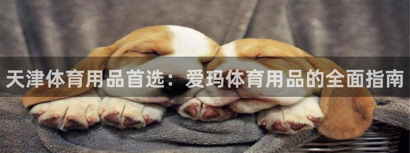 欧陆娱乐总代理：天津体育用品首选：爱玛体育用品的全面