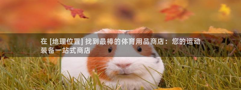 欧陆娱乐脚本：在 [地理位置] 找到最棒的体育用品商