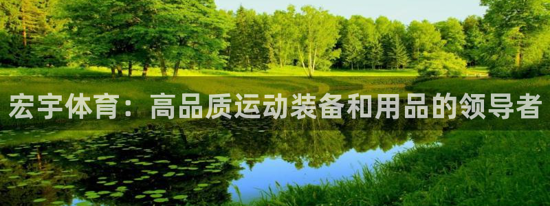 欧陆娱乐打什么方案赚钱：宏宇体育：高品质运动装备和用