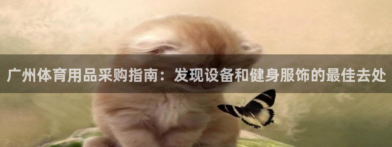 欧陆娱乐欢迎访问：广州体育用品采购指南：发现设备和健