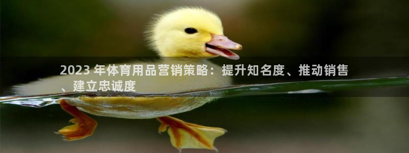 欧陆娱乐平台登陆地址是什么意思：2023 年体育用品