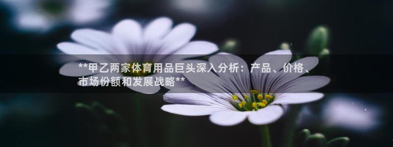 欧陆娱乐能赚钱吗知乎：**甲乙两家体育用品巨头深入分