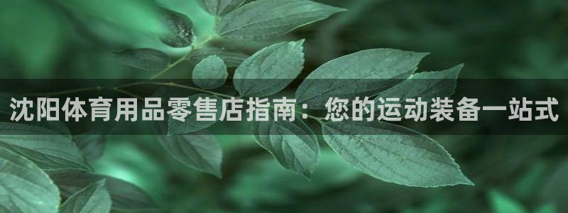 欧陆娱乐提现多久到账：沈阳体育用品零售店指南：您的运
