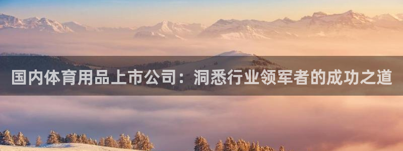 欧陆娱乐总代理：国内体育用品上市公司：洞悉行业领军者