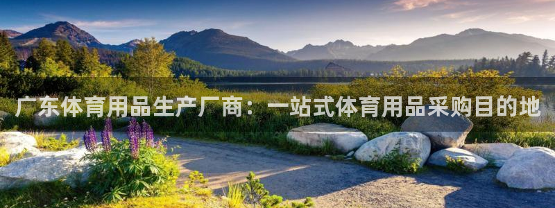 欧陆娱乐测试网站：广东体育用品生产厂商：一站式体育用