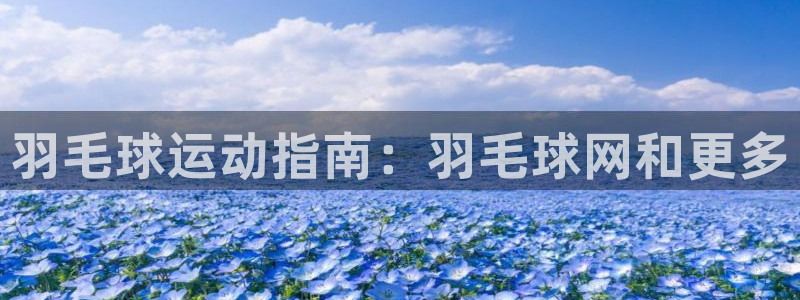 欧陆娱乐打什么方案：羽毛球运动指南：羽毛球网和更多