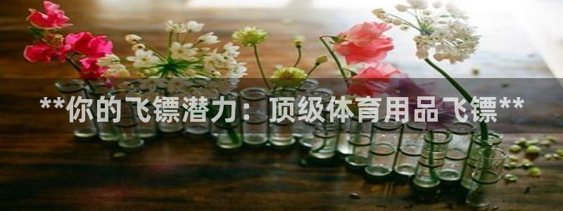 欧陆娱乐有限公司怎么样：**你的飞镖潜力：顶级体育用