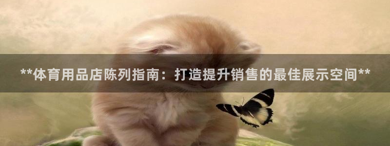 欧陆娱乐app打不开怎么回事视频：**体育用品店陈列