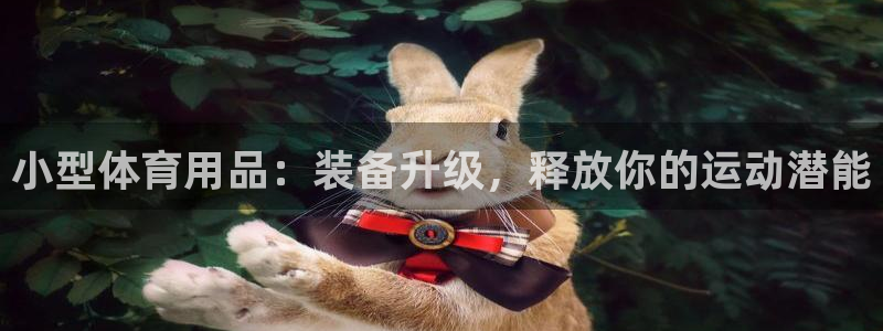 欧陆娱乐打什么方案：小型体育用品：装备升级，释放你的