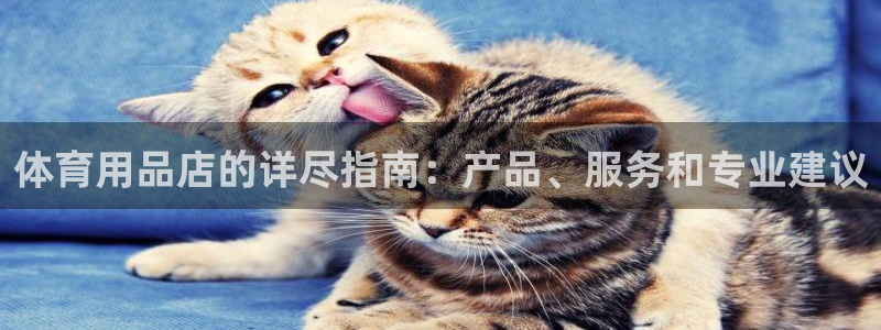 欧陆娱乐总代：体育用品店的详尽指南：产品、服务和专业