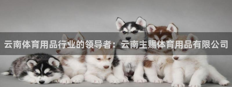 欧陆娱乐平台登陆地址在哪看：云南体育用品行业的领导者