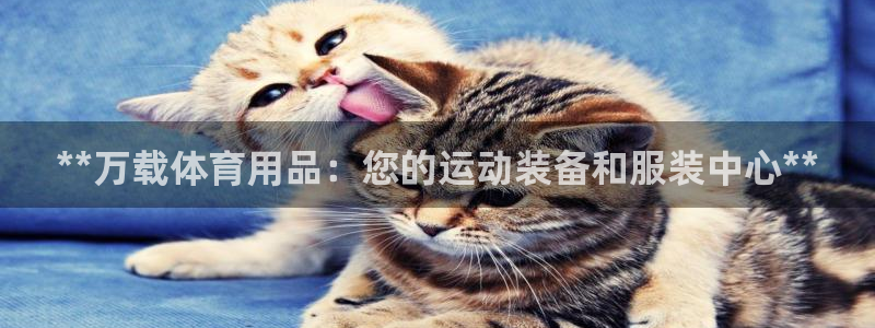 欧陆娱乐客服服务：**万载体育用品：您的运动装备和服