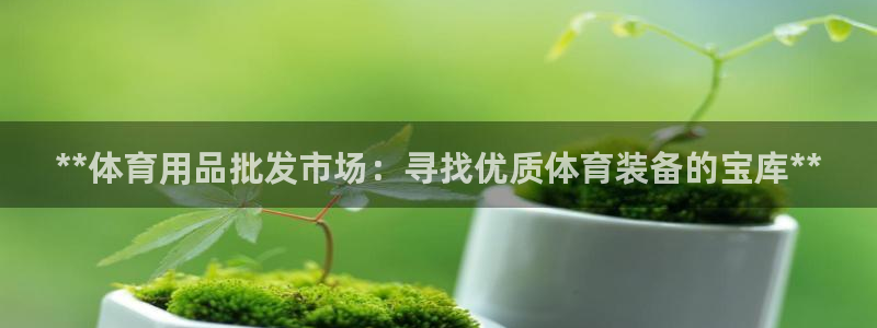 欧陆娱乐登录注册平台下载：**体育用品批发市场：寻找