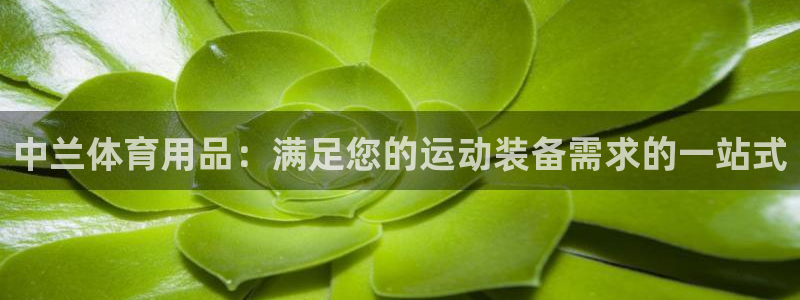 欧陆娱乐挂机项目：中兰体育用品：满足您的运动装备需求