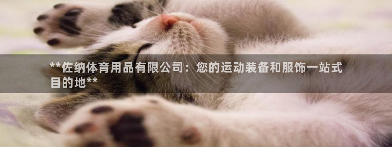 欧陆娱乐打什么方案赚钱：**佐纳体育用品有限公司：您
