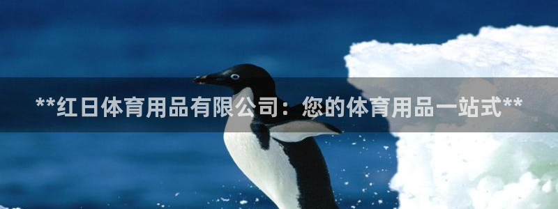 欧陆娱乐有限公司招聘：**红日体育用品有限公司：您的