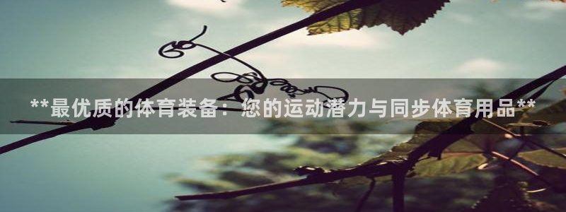 欧陆娱乐游戏特色：**最优质的体育装备：您的运动潜力