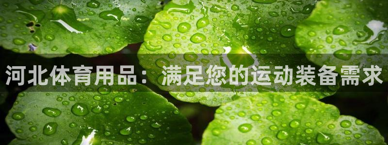 欧陆娱乐平台毕 (q—43314) 旨：河北体育用品