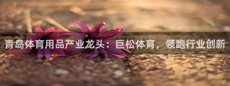 欧陆娱乐总代理是谁：青岛体育用品产业龙头：巨松体育，