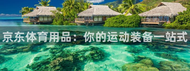 欧陆娱乐登录注册平台官网：京东体育用品：你的运动装备
