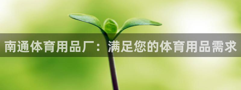 欧陆娱乐登陆平台有哪些：南通体育用品厂：满足您的体育
