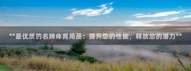欧陆娱乐平台咋样：**最优质的名牌体育用品：提升您的
