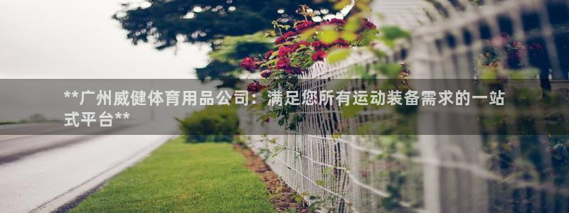 欧陆娱乐总代：**广州威健体育用品公司：满足您所有运