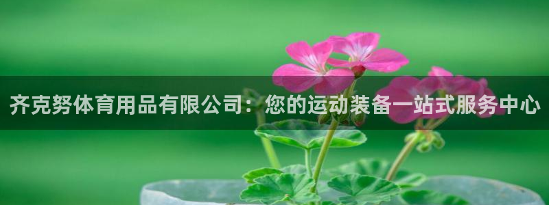 欧陆娱乐欢迎访问：齐克努体育用品有限公司：您的运动装