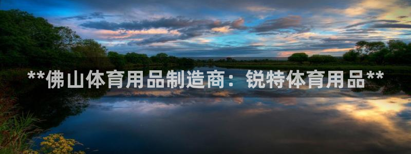 欧陆娱乐官方网站下载：**佛山体育用品制造商：锐特体
