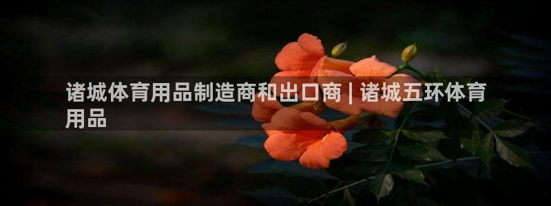 欧陆娱乐线路测速：诸城体育用品制造商和出口商 | 诸