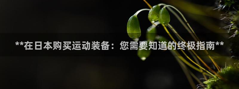 欧陆娱乐平台登陆地址是什么意思：**在日本购买运动装