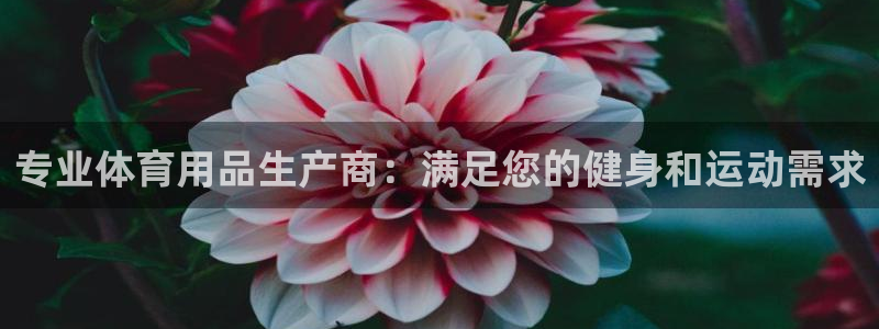 欧陆娱乐登录测速网站：专业体育用品生产商：满足您的健