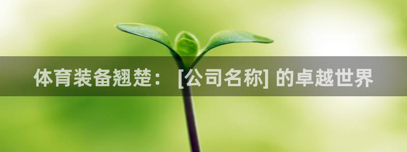 欧陆娱乐平台登陆地址在哪看：体育装备翘楚： [公司名