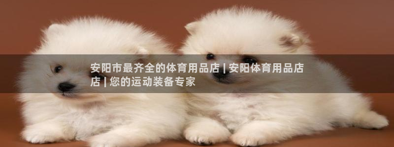 欧陆娱乐测速软件下载：安阳市最齐全的体育用品店 | 