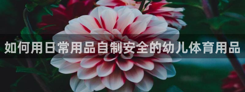欧陆娱乐系统教程：如何用日常用品自制安全的幼儿体育用