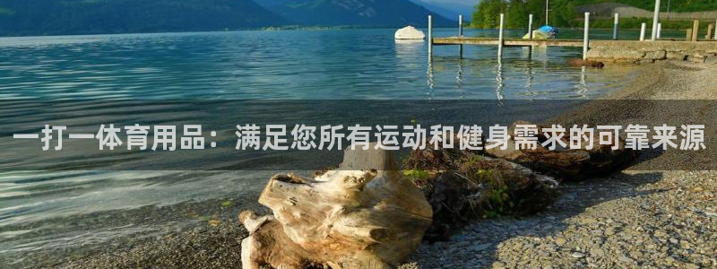 欧陆娱乐平台登录不上怎么回事：一打一体育用品：满足您