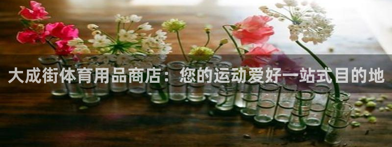 欧陆娱乐提现多久到账：大成街体育用品商店：您的运动爱