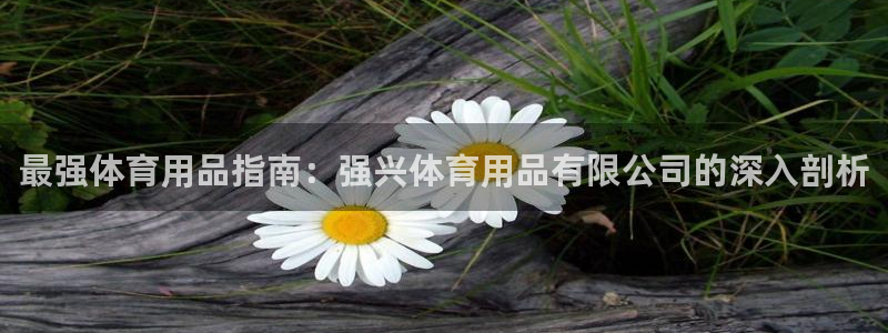 欧陆娱乐测速网站：最强体育用品指南：强兴体育用品有限