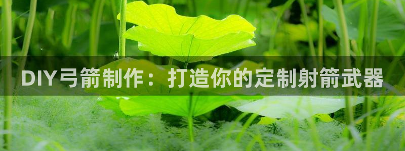 欧陆娱乐是正规平台吗安全吗可信吗：DIY弓箭制作：打